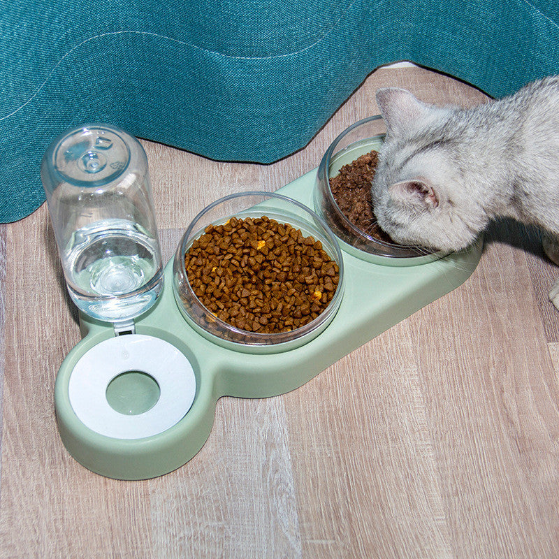 Raised Pet Food & Water Bowl