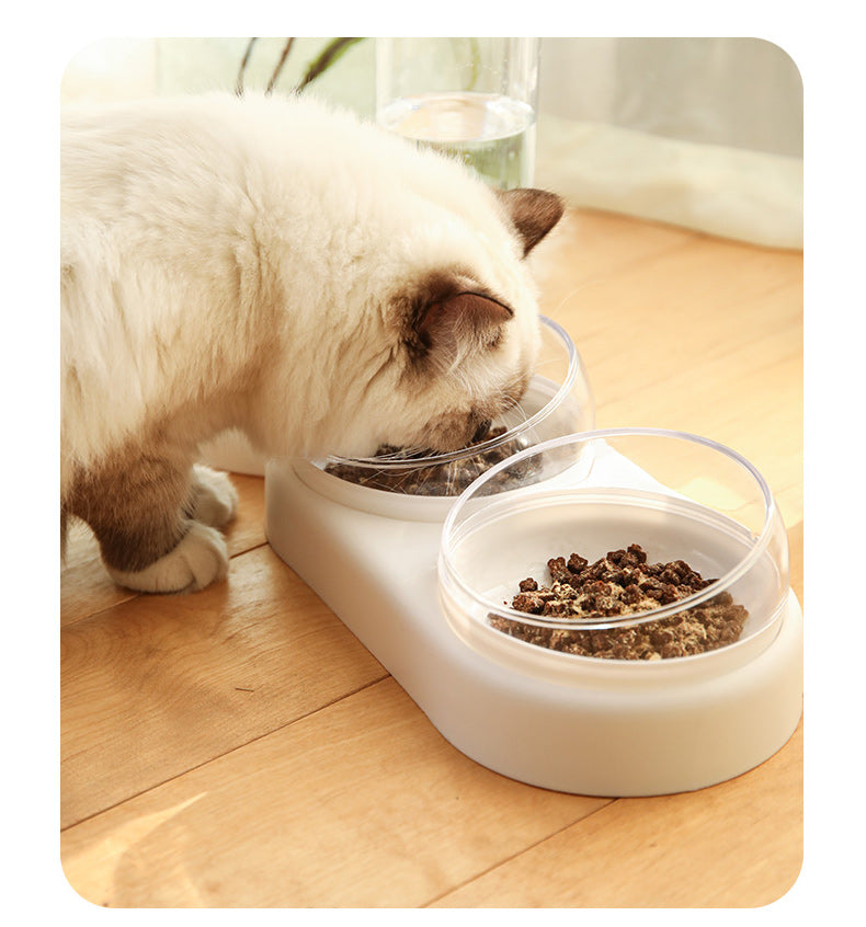 Raised Pet Food & Water Bowl