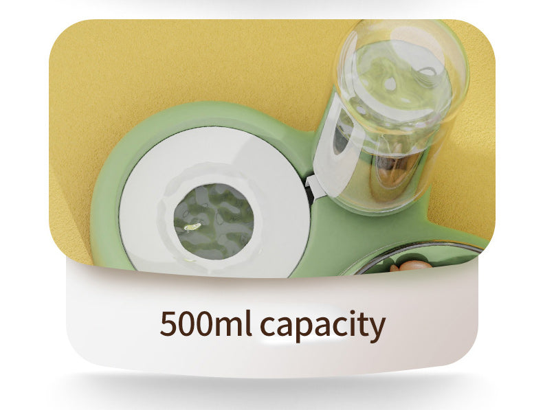 Raised Pet Food & Water Bowl