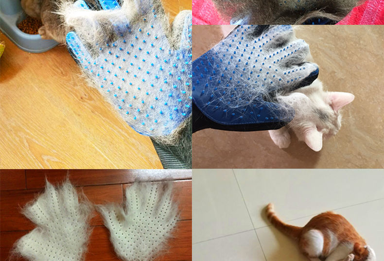 Cat Grooming & Massage Glove