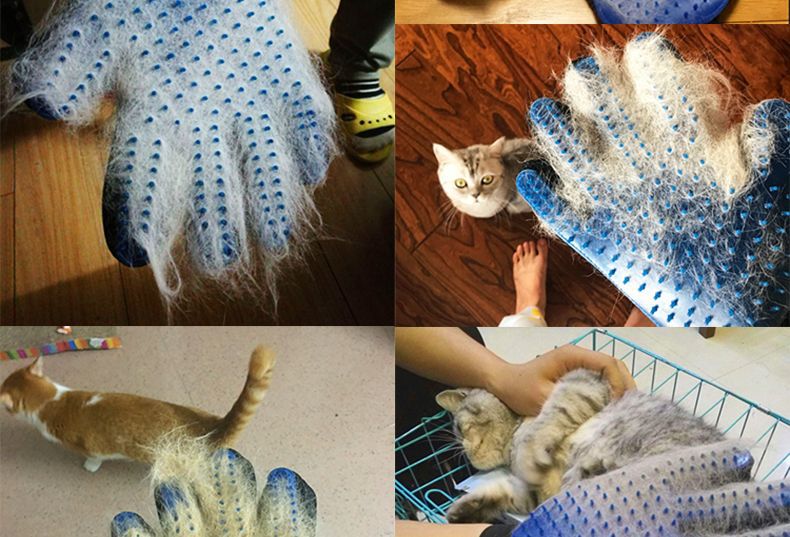 Cat Grooming & Massage Glove