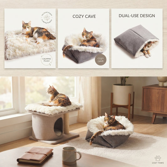 2-in-1 Pet Bed